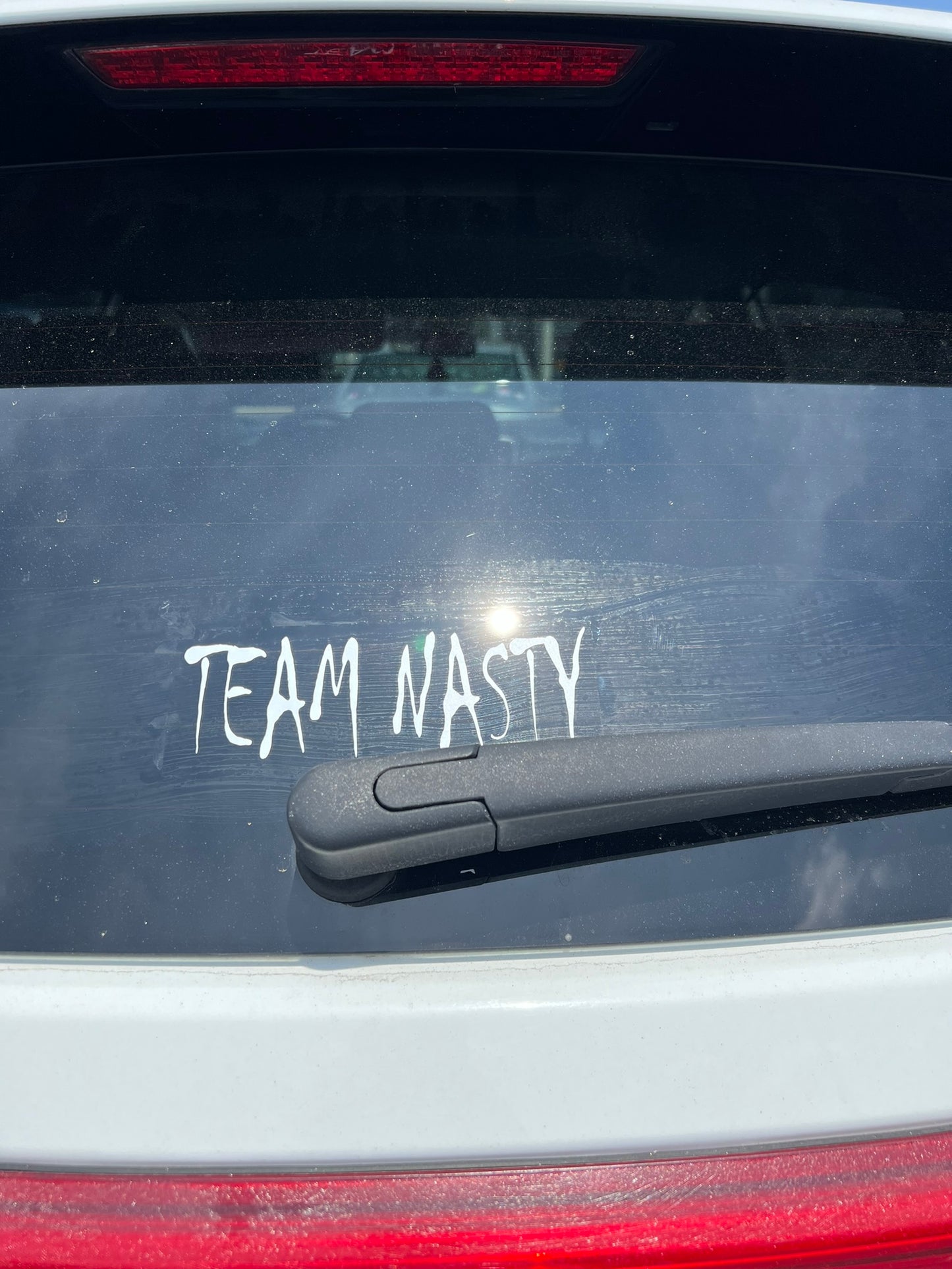 Team Nasty Vinyl Car Decal