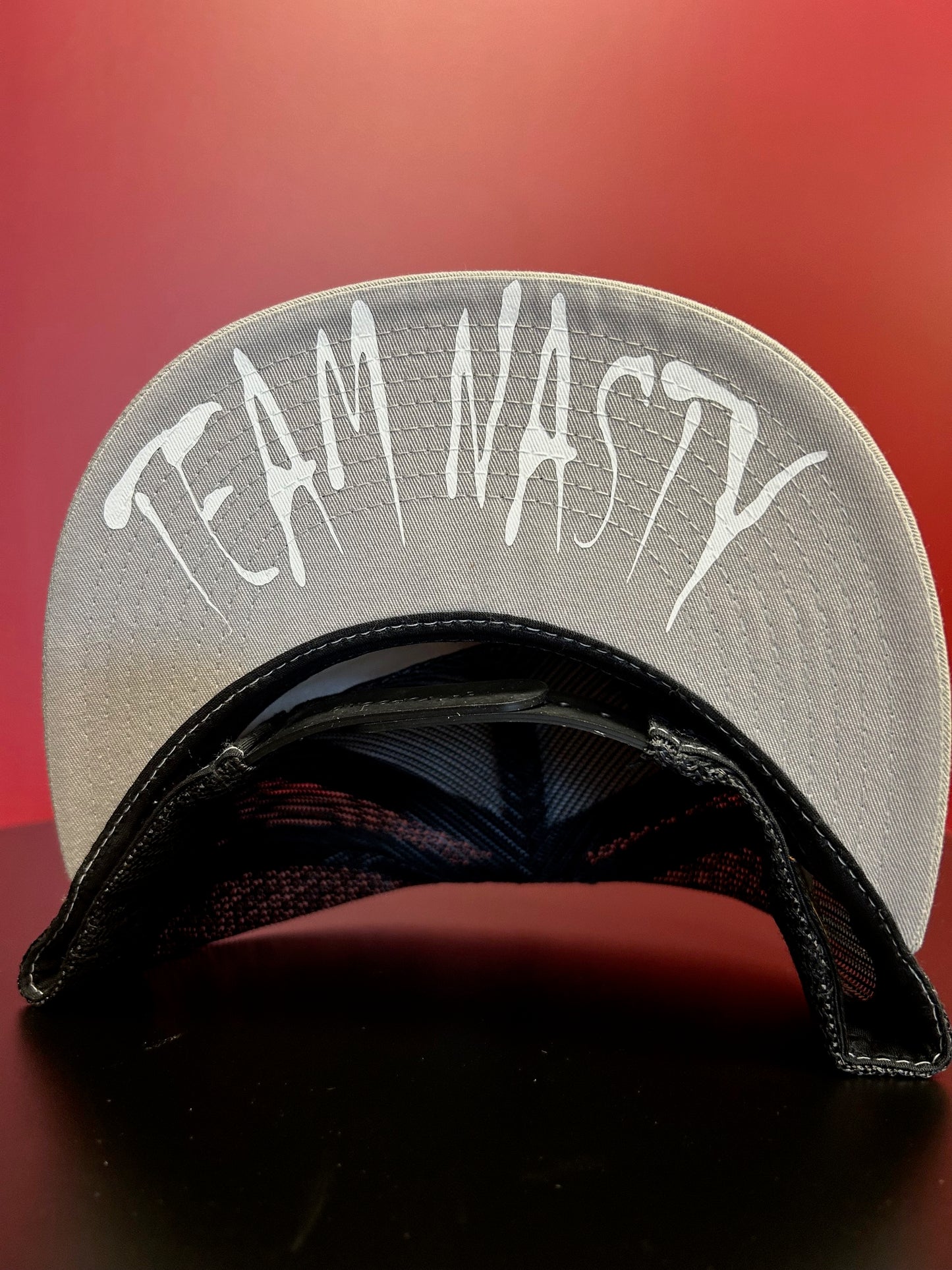 Team Nasty Grey Skull Snap Back